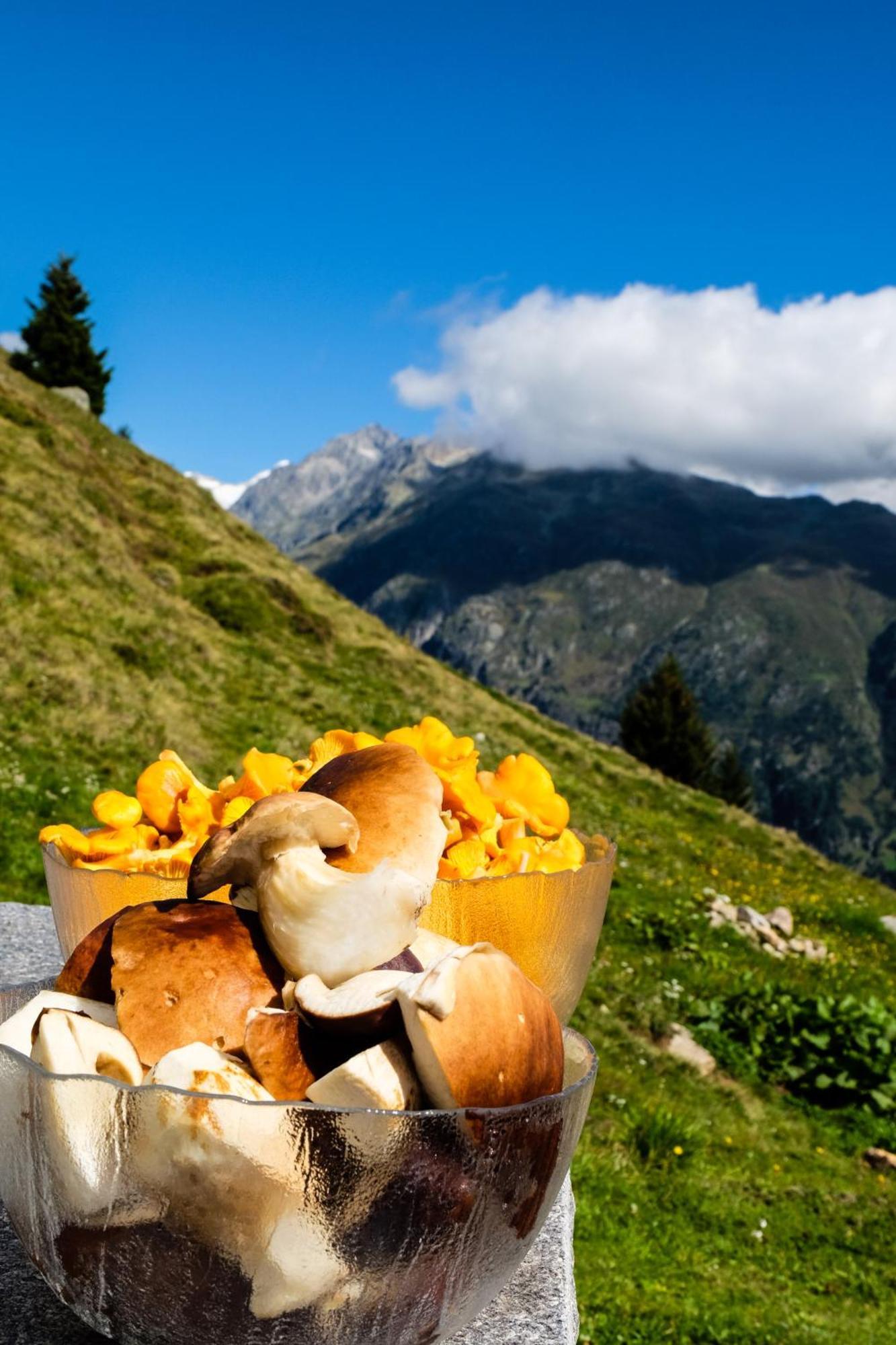 Villa Alphuette Bielerchaeller à Fiesch Extérieur photo
